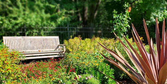 Warm color flowers surrounding bench